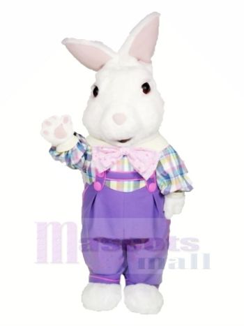 Fuzzy Hase mit Lila Passen Maskottchen Kostüme Karikatur