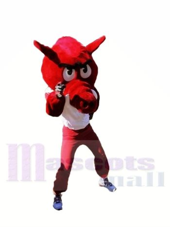 rot Razorbacks Maskottchen Kostüme Tier