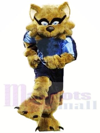 Stark Braun Waschbär Maskottchen Kostüme Tier