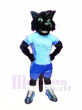 Sport Schwarz Katze Maskottchen Kostüme Karikatur