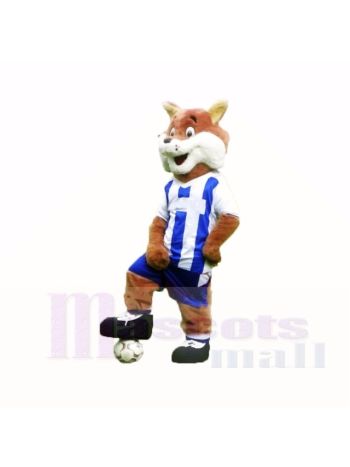 Fußball Fuchs mit Blau und Weiß Hemd Maskottchen Kostüme Karikatur