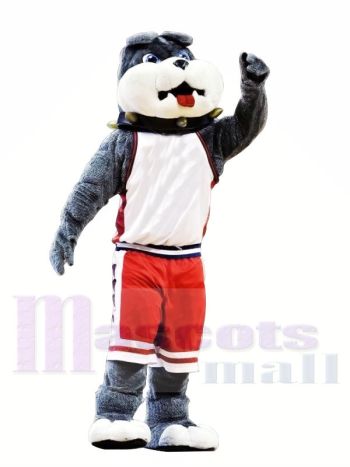 Süß College-Bulldogge Maskottchen Kostüme
