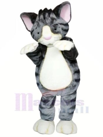 Leicht Grau Katze Maskottchen Kostüme Karikatur
