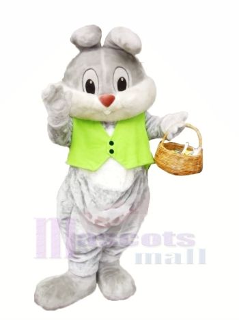 Weihnachten Hase mit Grün Weste Maskottchen Kostüme Tier