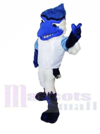 Hochschule Blau Jay Maskottchen Kostüme 