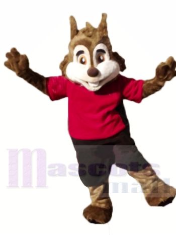 Nettes sportliches Eichhörnchen Maskottchen Kostüme