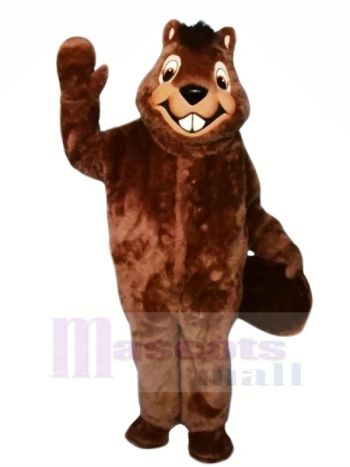 Lächelnd Pelzig Biber Maskottchen Kostüme Karikatur