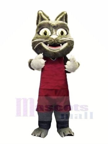 Pelzig Katze mit Passen Maskottchen Kostüme