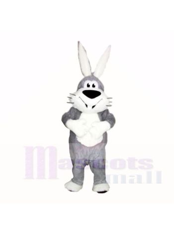 Lächelnd Grau und Weiß Hase Maskottchen Kostüme Karikatur
