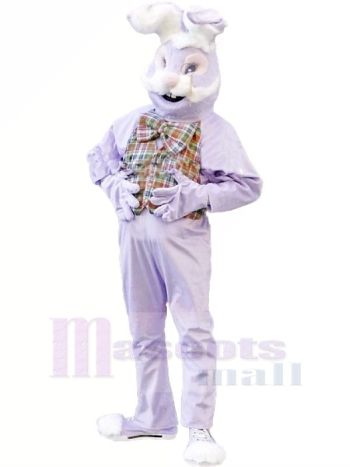 Lila Hase Maskottchen Kostüme Karikatur