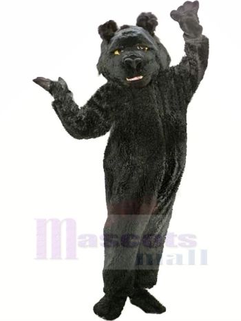 Zottelig Schwarz Bär Maskottchen Kostüme Karikatur