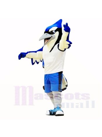 Sport blau und schwarz Vogel Maskottchen Kostüme Schule