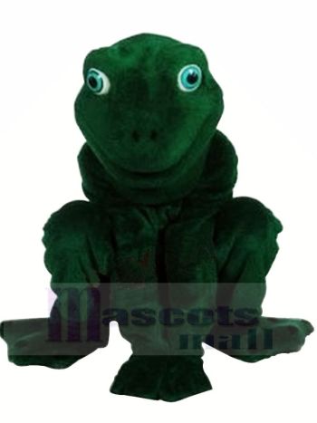 Hoch Qualität Realistisch Frosch Maskottchen Kostüme