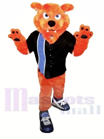 Hochschule Bobcat Maskottchen Kostüme