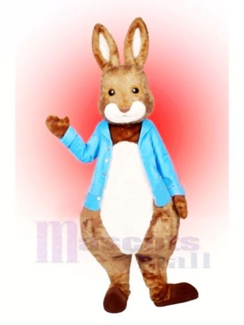 Peter Hase Maskottchen Kostüme Karikatur