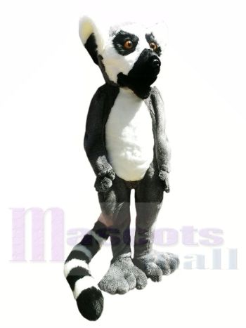 Hochwertige pelzigen Lemur Maskottchen Kostüme