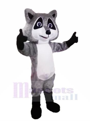 Süß Grau Waschbär Maskottchen Kostüme Karikatur