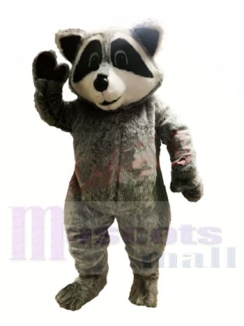 Süß Leicht Waschbär Maskottchen Kostüme