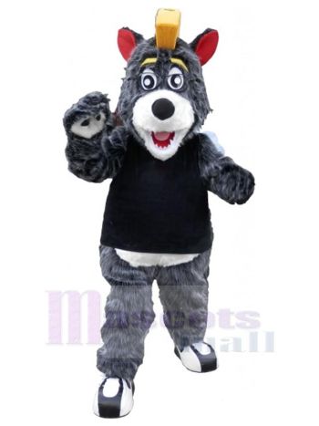 bär maskottchen kostüm