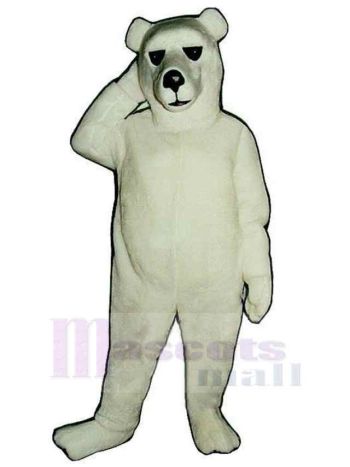 bär maskottchen kostüm