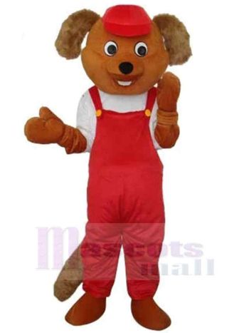 bär maskottchen kostüm