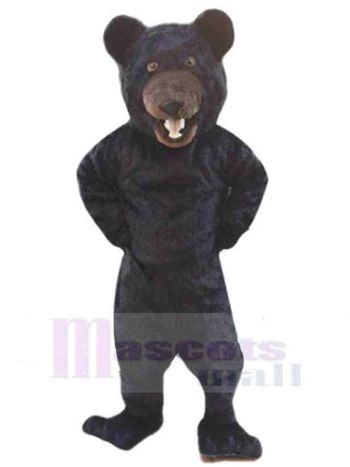 bär maskottchen kostüm