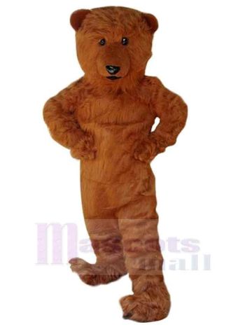 bär maskottchen kostüm