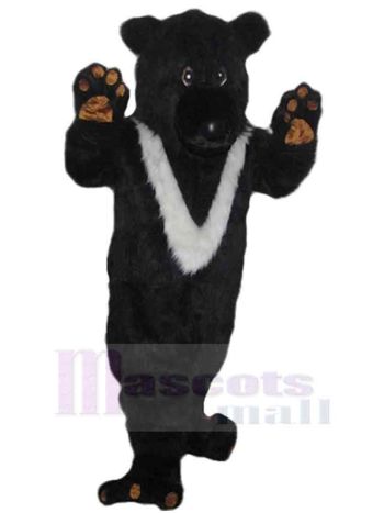 bär maskottchen kostüm