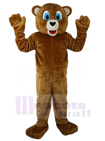 bär maskottchen kostüm