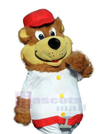 bär maskottchen kostüm