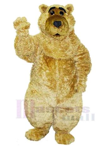 bär maskottchen kostüm