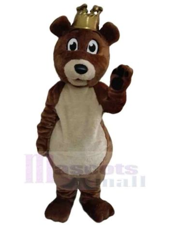 bär maskottchen kostüm