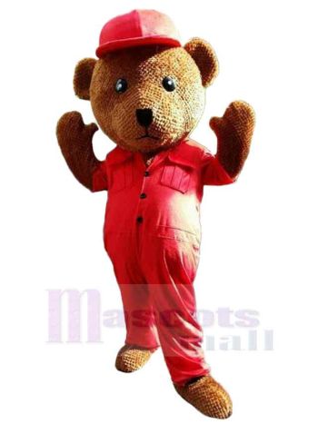 bär maskottchen kostüm