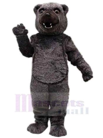 bär maskottchen kostüm