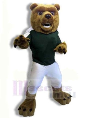 bär maskottchen kostüm
