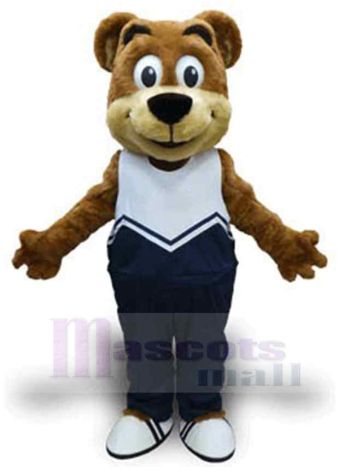 bär maskottchen kostüm