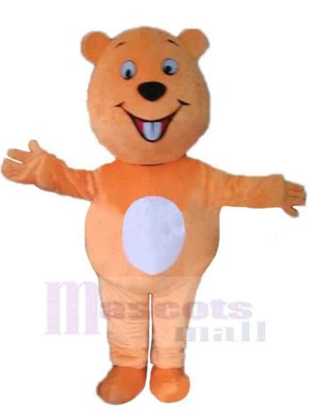 bär maskottchen kostüm
