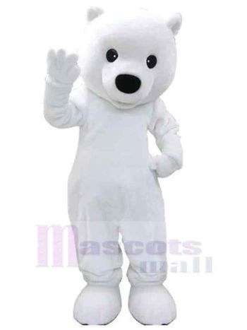 bär maskottchen kostüm