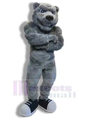 bär maskottchen kostüm