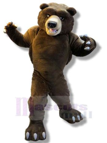 bär maskottchen kostüm