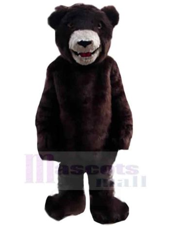 bär maskottchen kostüm