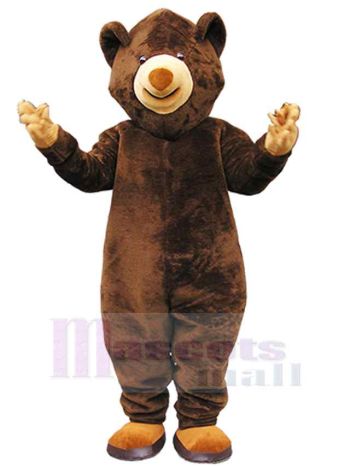 bär maskottchen kostüm