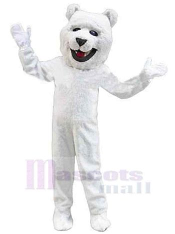 bär maskottchen kostüm