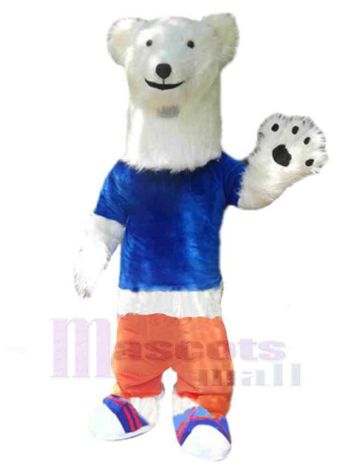 bär maskottchen kostüm