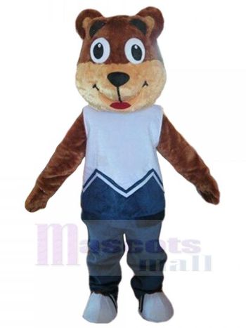 bär maskottchen kostüm