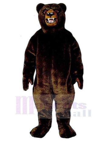 bär maskottchen kostüm