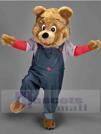 bär maskottchen kostüm