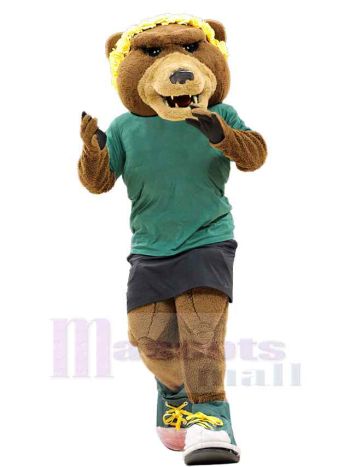 bär maskottchen kostüm