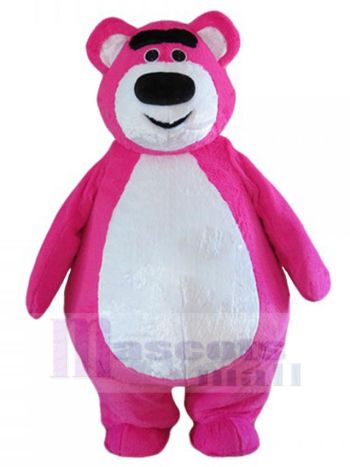 bär maskottchen kostüm