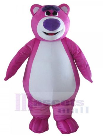 bär maskottchen kostüm
